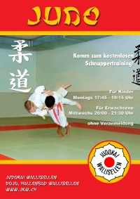 Plakat-Judo